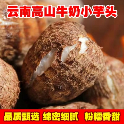 正宗云南农家牛奶毛芋头