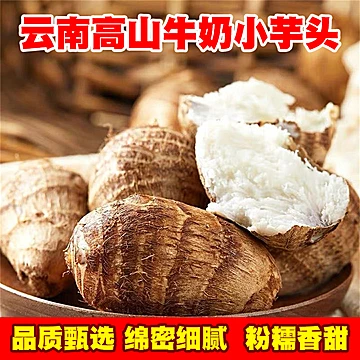 云南毛芋头牛奶芋头新鲜现挖现发[5元优惠券]-寻折猪
