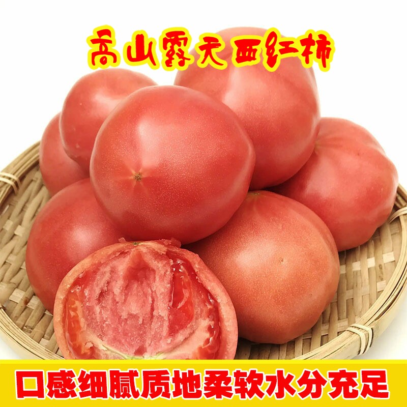云南自熟西红柿粉果老品种水果番茄沙瓤高山露天种植新鲜拒绝催熟