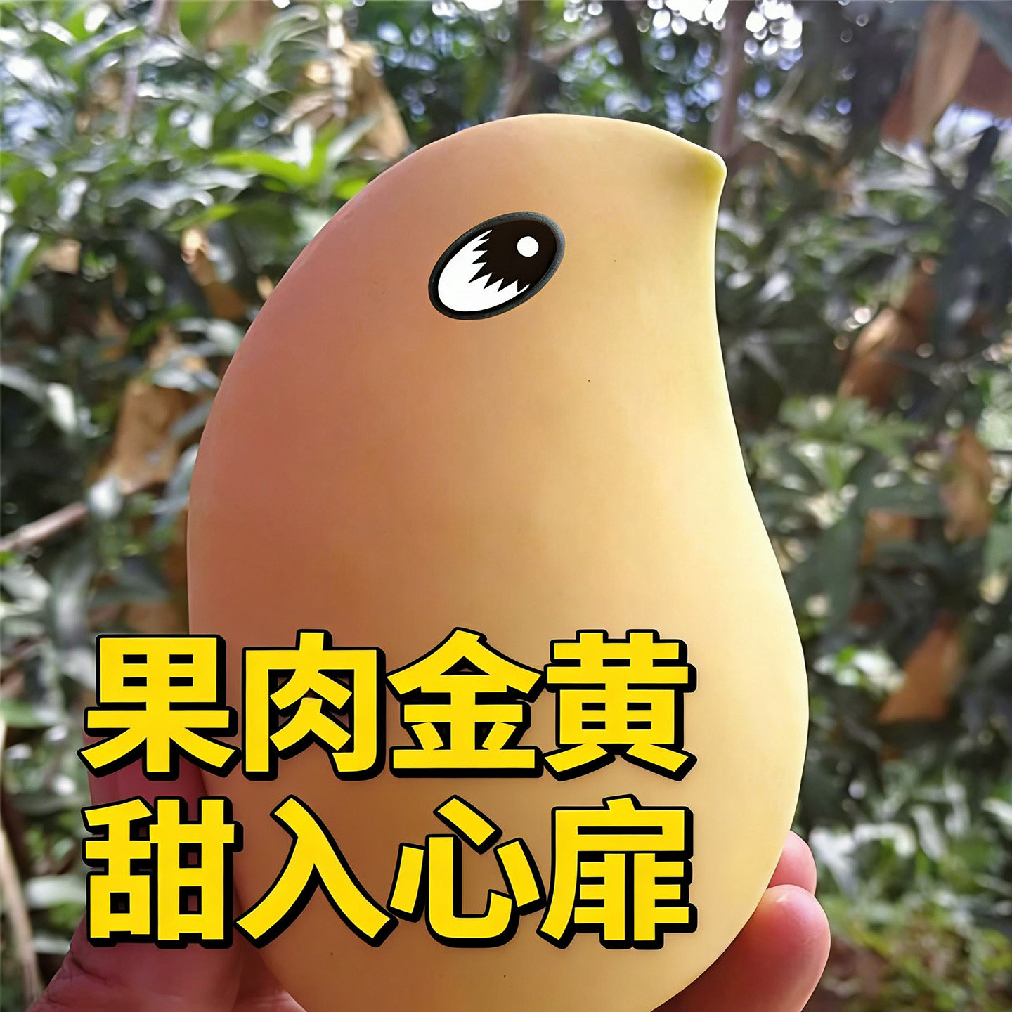 云南鹰嘴芒黄皮芒果套袋甜心新鲜热带水果套袋生态果3-8斤包邮