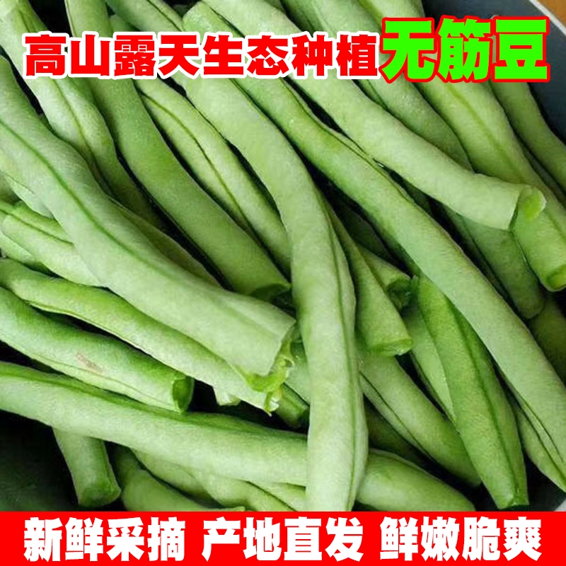 【无筋豆】云南四季豆角无筋豆王芸豆新鲜蔬菜嫩豆扁豆无茎豆包邮