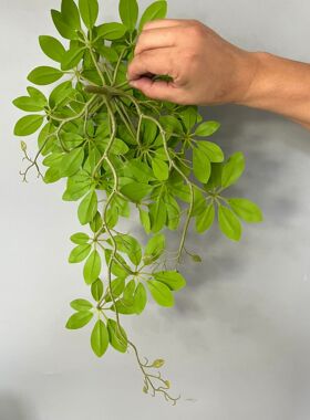 厂家现货 仿真植物鸭掌木藤条 3D打印发财叶 花艺软装墙面装饰