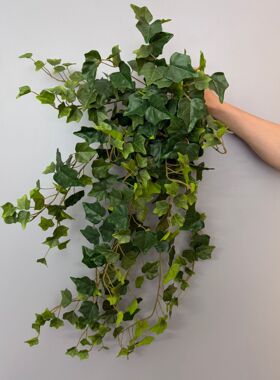 大把束常春藤植物墙藤条装饰室内外吊兰垂吊壁挂爬藤挂藤绿植