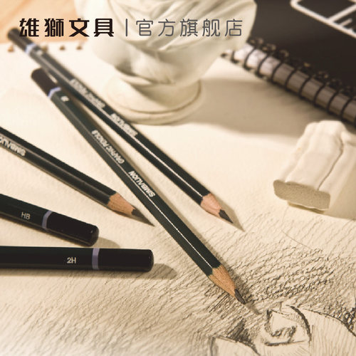 雄狮素描铅笔初学者绘画速写2h4b6b8b软中硬绘图2比4b美术用品10b画画套装hb美术生专用工具 - 图2