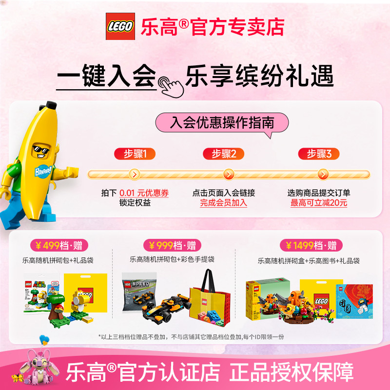 LEGO乐高机械组42179地球和月亮轨道儿童积木玩具