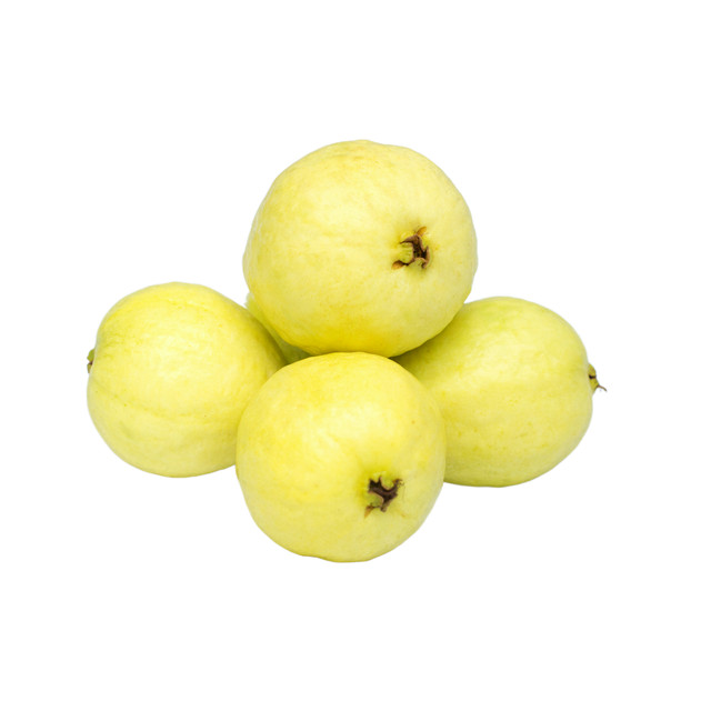 SF Escort Soft and Sweet Creamy Golden Guava