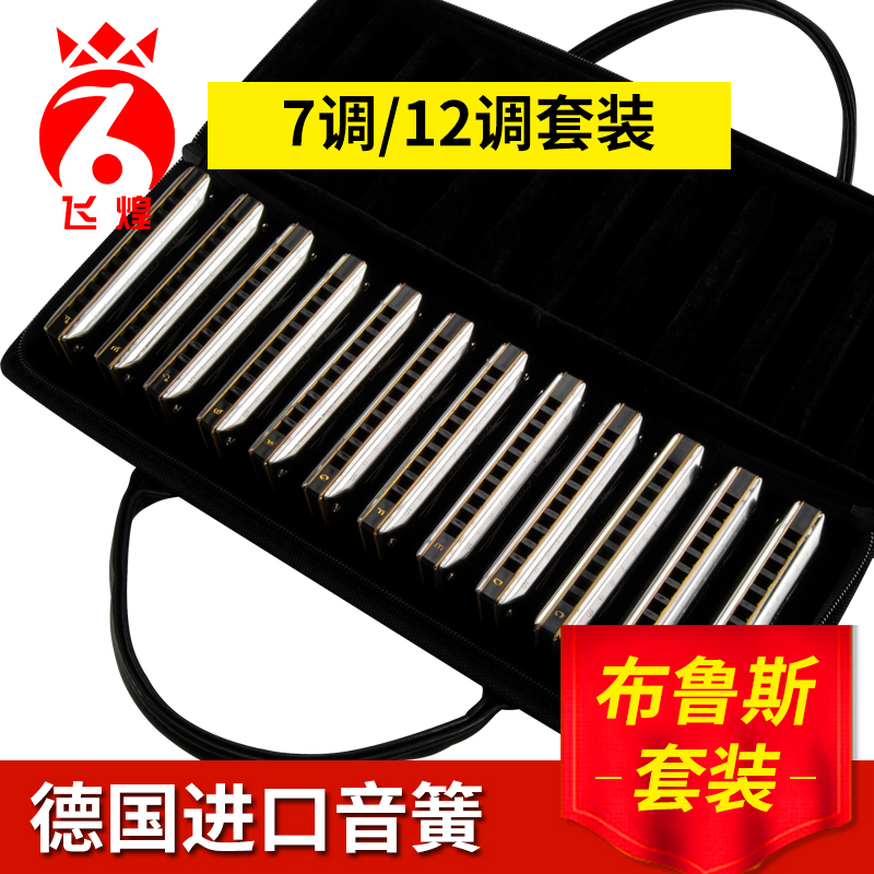 FEIHUANG 10 CONVEBRUCE PIANO 12 TUNES  л ü Ʈ    - ϸī