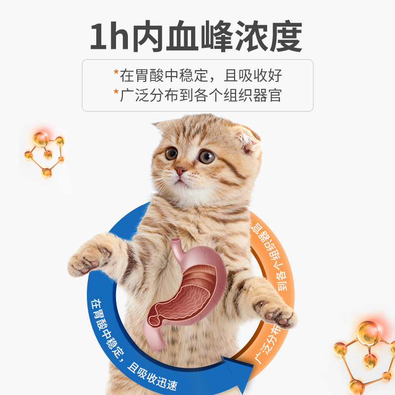 普安特狗狗消炎药宠物猫咪用皮肤炎尿路感染尿道炎泌尿头孢埃素达 - 图3