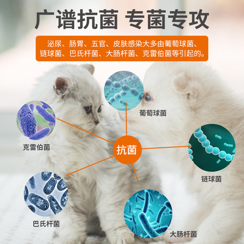 普安特狗狗消炎药宠物猫咪用皮肤炎尿路感染尿道炎泌尿头孢埃素达 - 图2