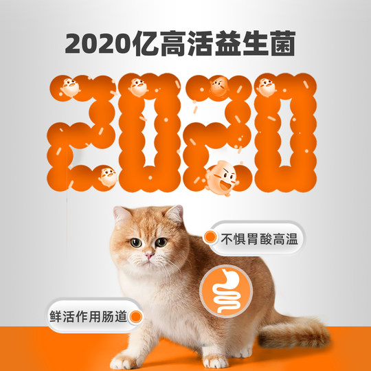 Pointe cat probiotic dog pets regulate stomach