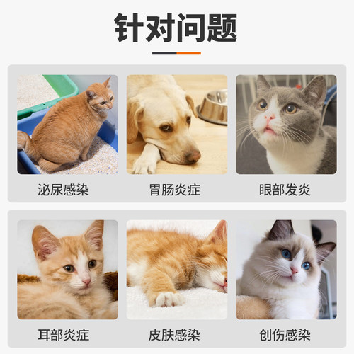 普安特狗狗消炎药宠物猫咪用皮肤炎尿路感染尿道炎泌尿头孢埃素达 - 图0