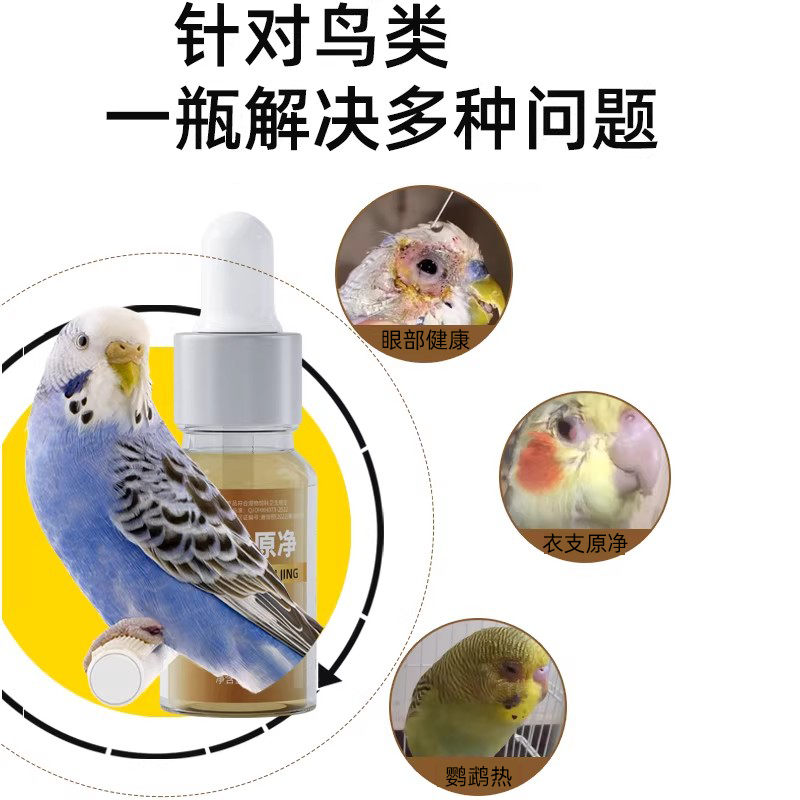 鹦鹉眼伤风眼睛流泪虎皮玄凤眼睛红肿衣原体感染鹦鹉热非鹦鹉药