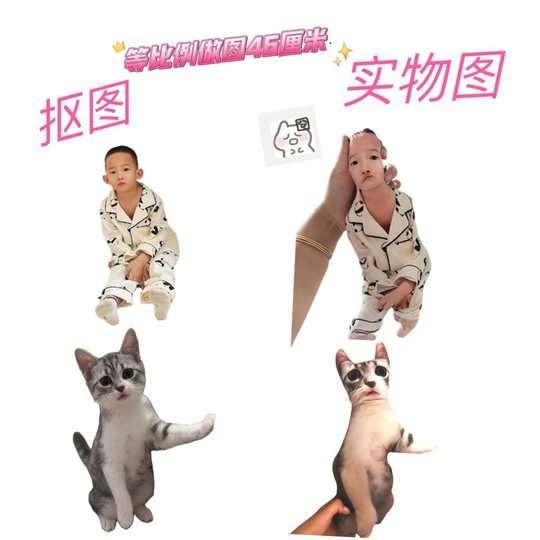 No white edges, life-shaped pillows, custom dolls, custom small doll photos, rat dry dolls, funny pets