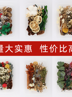 圣诞干果干花盒肉桂松果DIY材料