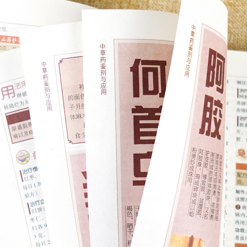 6册中医自学百日通+诊断全书+中草药鉴别+中医养生书籍大全中医入门书籍医药大全中医诊断学中药书基础理论自学入门基础知识倪海厦