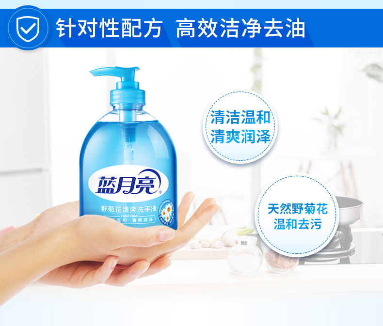 蓝月亮野菊花芦荟洗手液500g 厨房去油去腥清爽护手家用瓶装官方