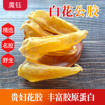 Magic Yu Chen Year White Flower Glue Pure Male Belly Fish Glue Deep Sea Love Beauty People Print White Thick Flesh Meat Good 21 Head 30 Head 30