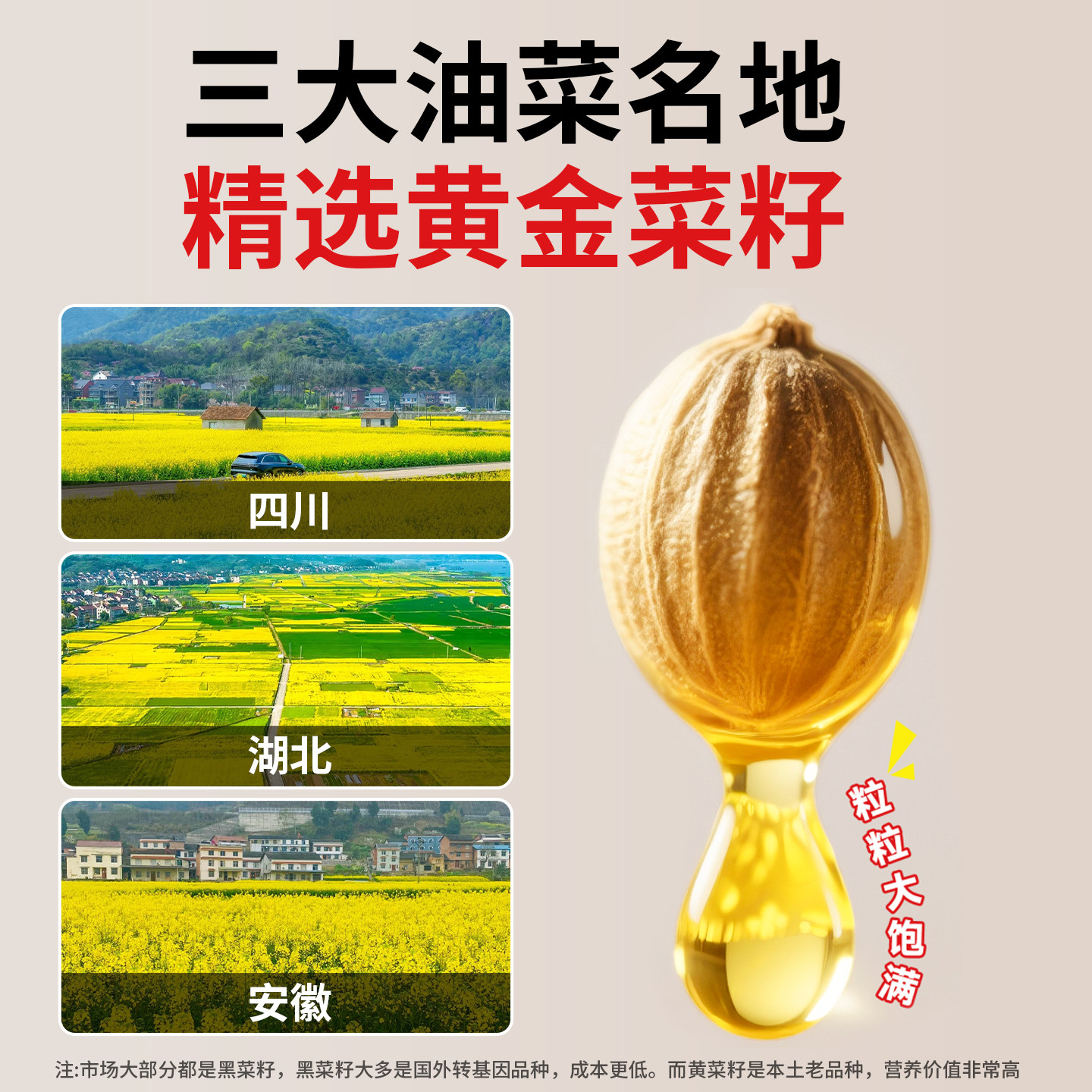 菜籽饼肥料油枯发酵有机肥种菜老式新鲜榨油大块油饼钓鱼打窝菜饼,淘宝优惠券,粉丝福利购,淘宝优惠卷