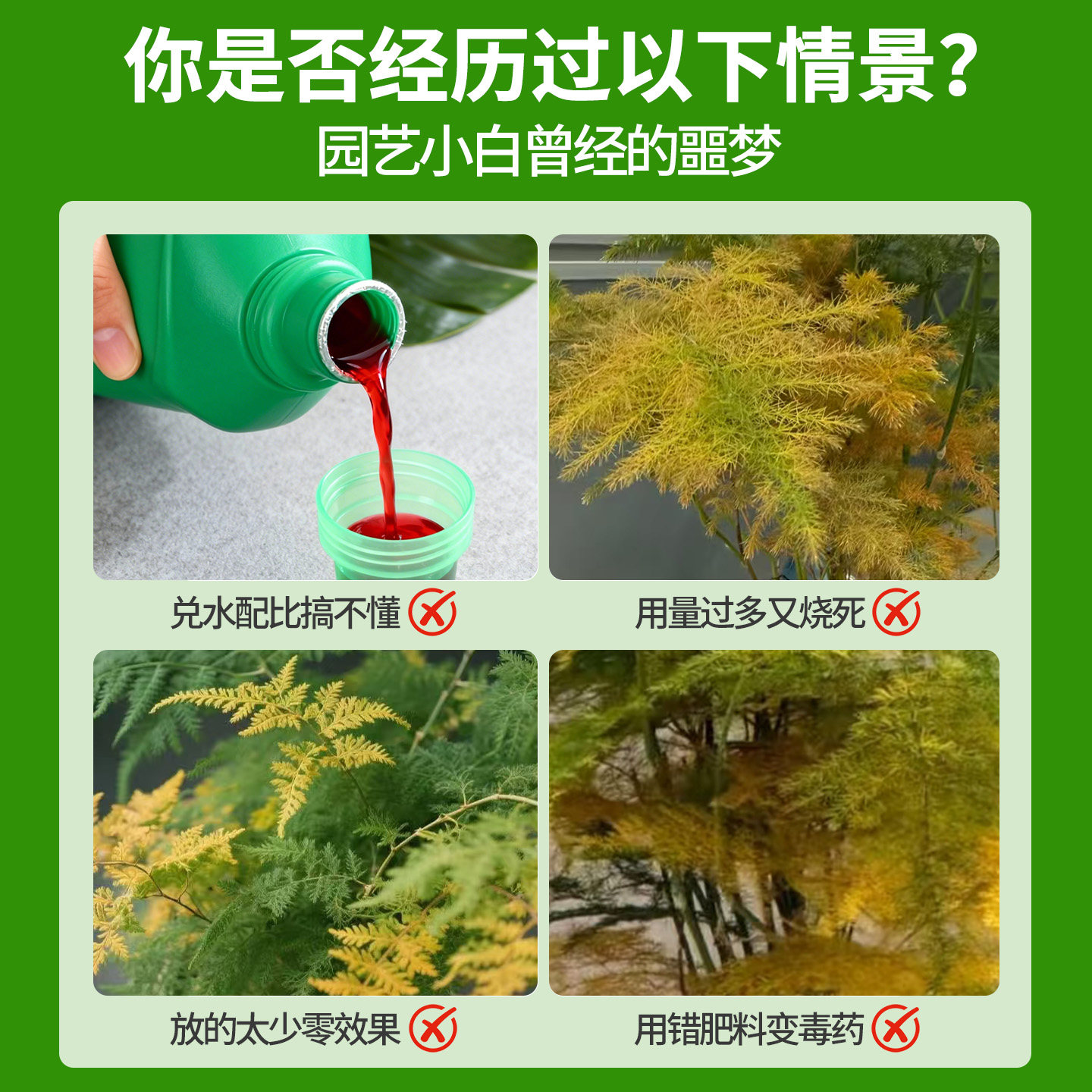 文竹营养液治黄叶花肥云竹专用肥料云松水培盆栽免稀释液体肥养护,淘宝优惠券,粉丝福利购,淘宝优惠卷