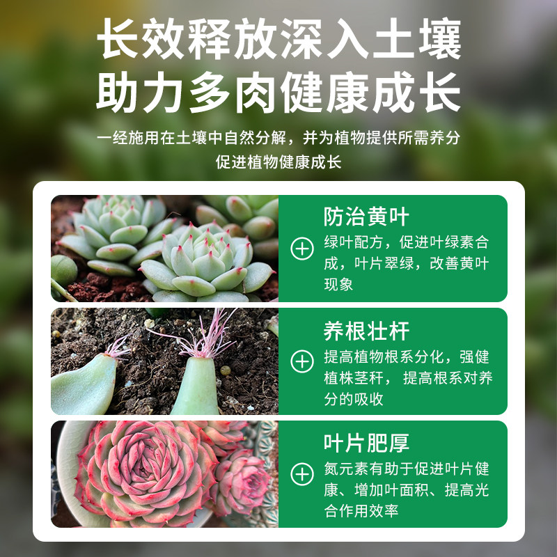 多肉肥料专用肥颗粒控释肥生根增色通用家用室内盆栽植物复合肥料,淘宝优惠券,粉丝福利购,淘宝优惠卷
