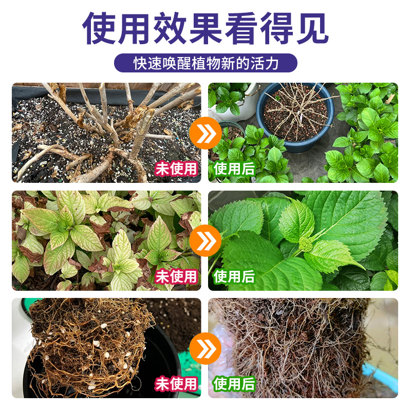 免稀释绣球花肥料花肥喷施保鲜液通用型酸性植物营养液绣球调蓝剂-图3