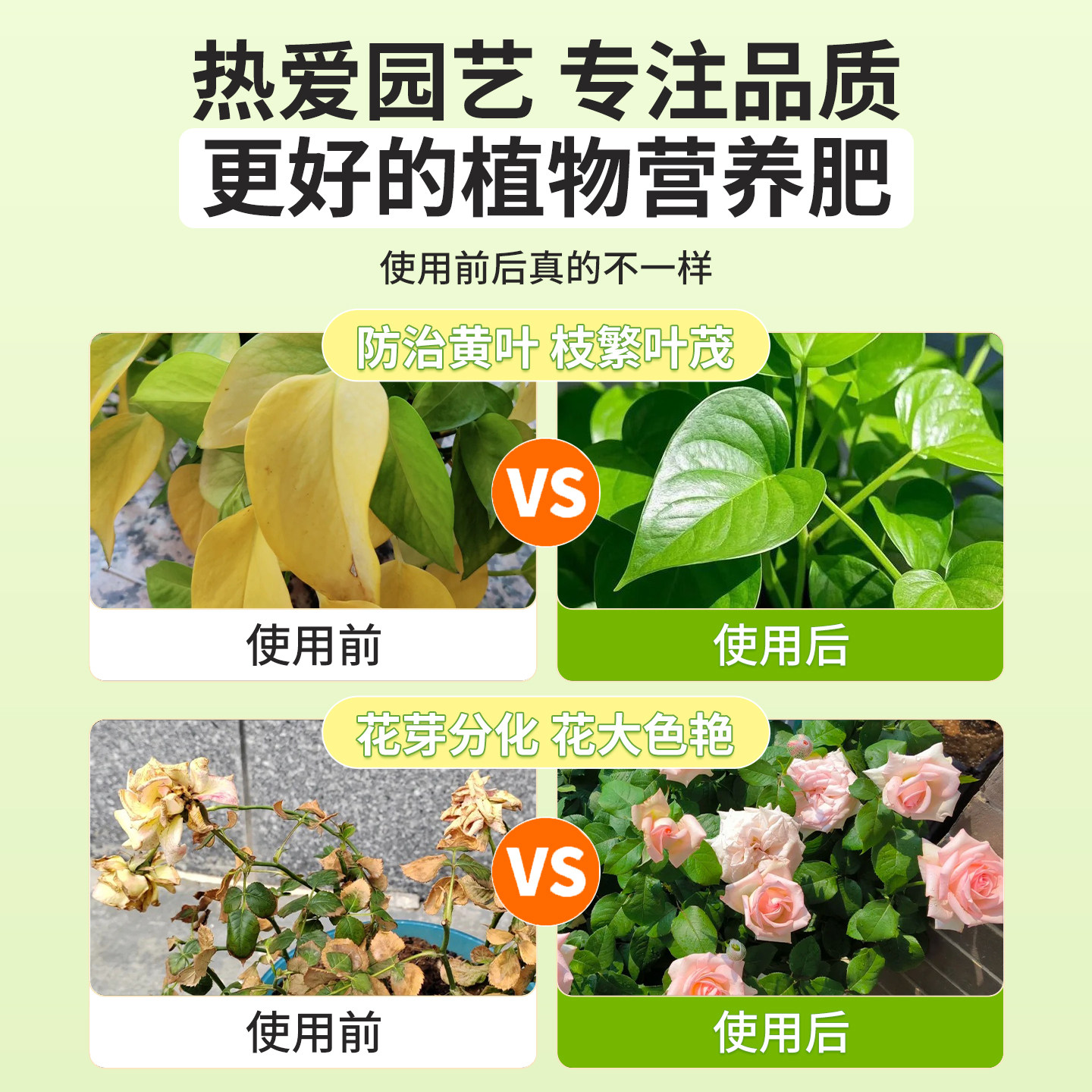 花草水培营养液植物通用型养花专用肥料花卉绿植室内花肥家用盆栽,淘宝优惠券,粉丝福利购,淘宝优惠卷