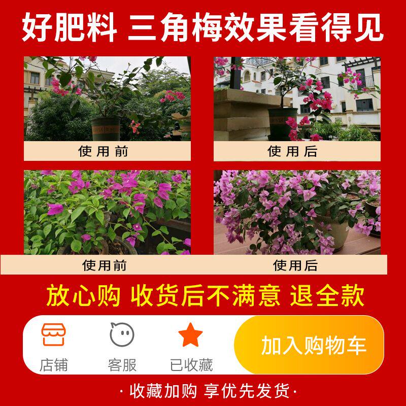 三角梅专用肥料盆栽家用缓释花肥四季促开花催花绿叶复合有机肥料