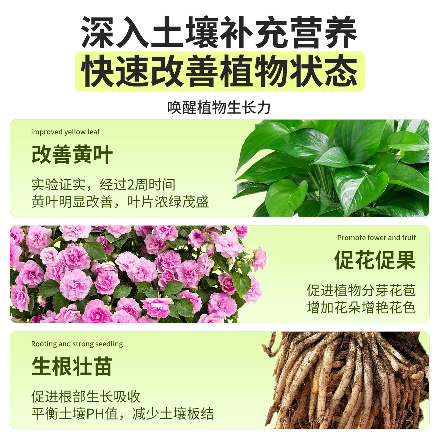 花草水培营养液植物通用型养花专用肥料花卉绿植室内花肥家用盆栽,淘宝优惠券,粉丝福利购,淘宝优惠卷