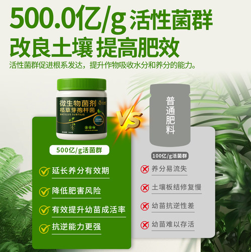 枯草芽孢菌杆菌旗舰店微生物菌剂正品水产养殖兰花专用土壤有机肥 - 图2