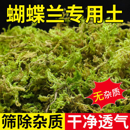 干苔藓水苔青苔兰花蝴蝶兰石斛种植专用营养土植料乌龟冬眠用水台 - 图1