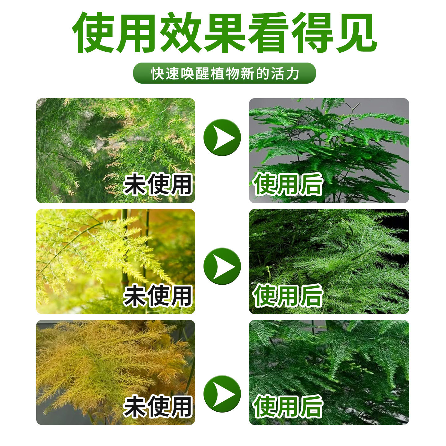 文竹营养液治黄叶花肥云竹专用肥料云松水培盆栽免稀释液体肥养护,淘宝优惠券,粉丝福利购,淘宝优惠卷