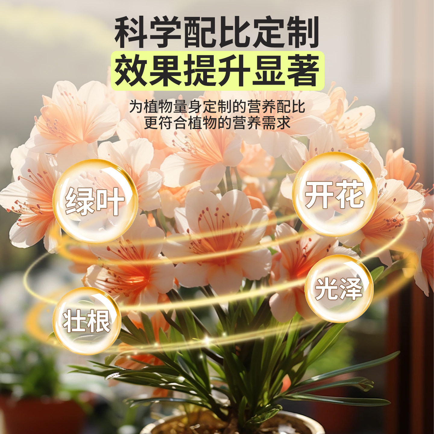 花草水培营养液植物通用型养花专用肥料花卉绿植室内花肥家用盆栽,淘宝优惠券,粉丝福利购,淘宝优惠卷