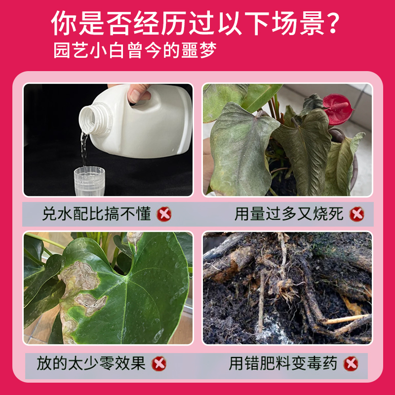 红掌专用营养液免稀释水培开花肥红掌专用肥白掌肥料液体叶面肥 - 图0