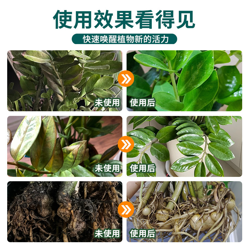 免稀释金钱树专用营养液室内发黄树叶面花肥料花卉盆栽绿植物专用,淘宝优惠券,粉丝福利购,淘宝优惠卷