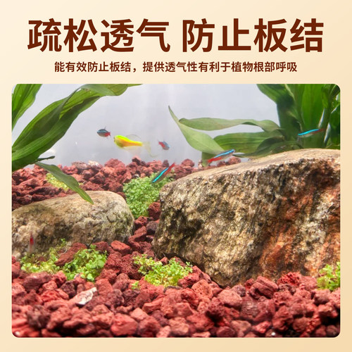 火山石鱼缸专用水族造景垫底砂古法养鱼材料大块过滤石火山岩颗粒 - 图2