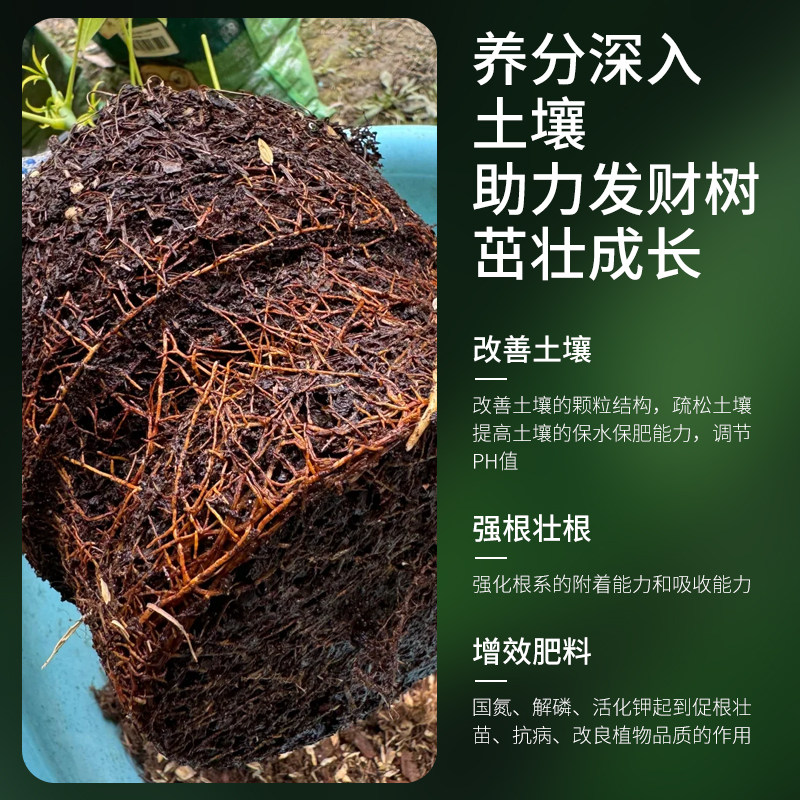 发财树肥料专用肥营养液植物叶子发黄烂根怎么办金钱树通用型花肥,淘宝优惠券,粉丝福利购,淘宝优惠卷