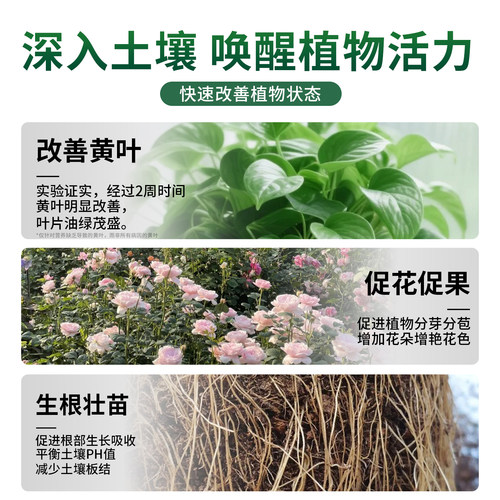 营养液植物通用型花肥家用盆栽发财树富贵竹绿萝多肉花卉绿植肥料 - 图0