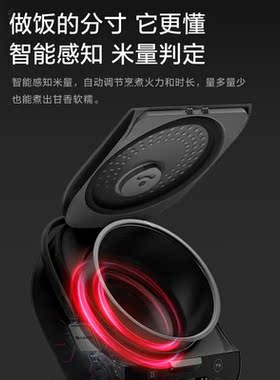 格力电饭煲多功能家用煮饭锅5L