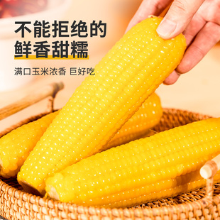 2.5kg礼袋装有机大黄甜粘糯玉米新鲜
