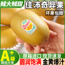 New Zealand Jiapi Exotic Fruits Golden Fruits Fresh Fruit 20 Extra Large Fruit Yellow Heart kiwi Monkey Peach Macaque