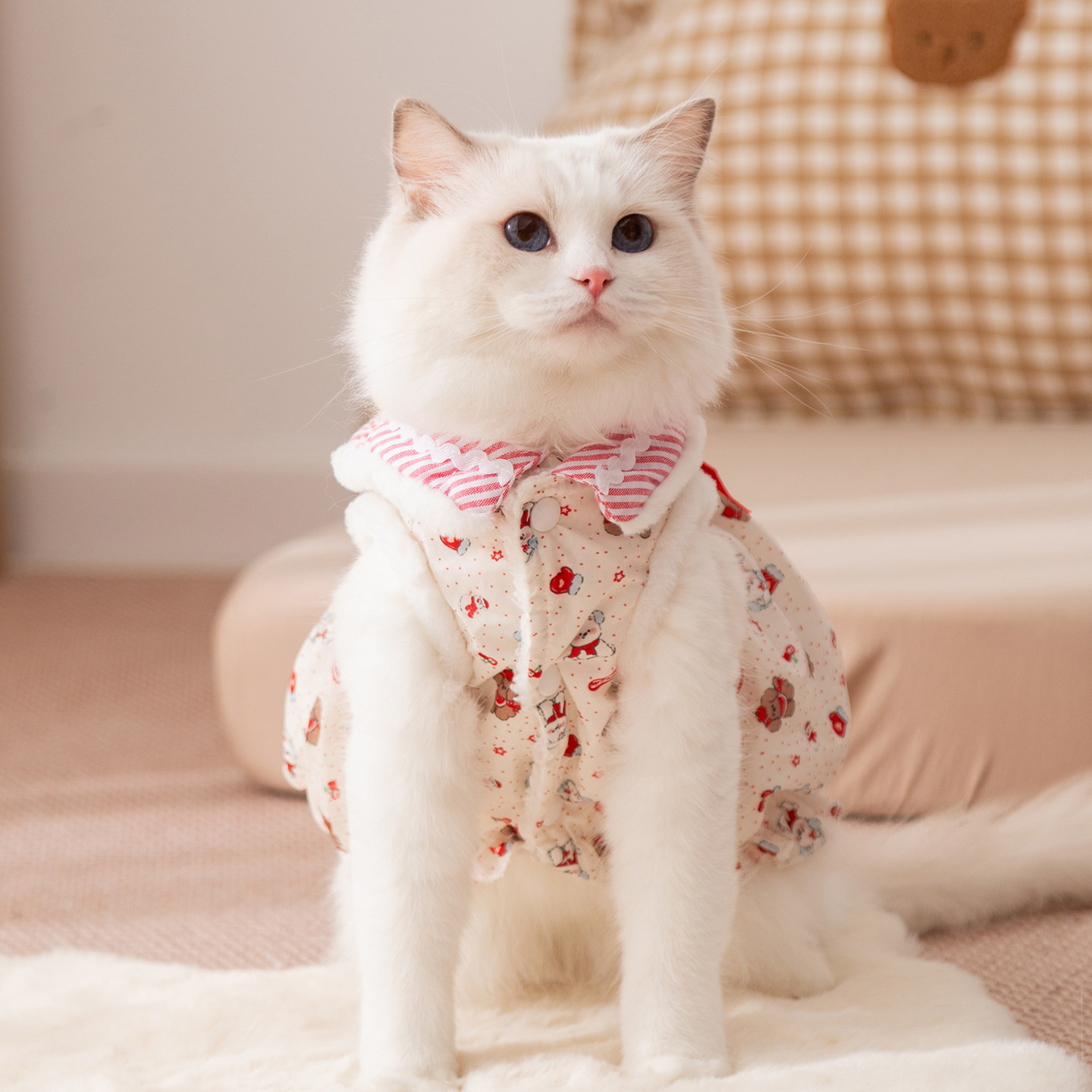 小猫咪衣服加厚保暖冬天布偶猫德文猫无毛猫宠物猫连衣裙冬季棉衣,淘宝优惠券,粉丝福利购,淘宝优惠卷