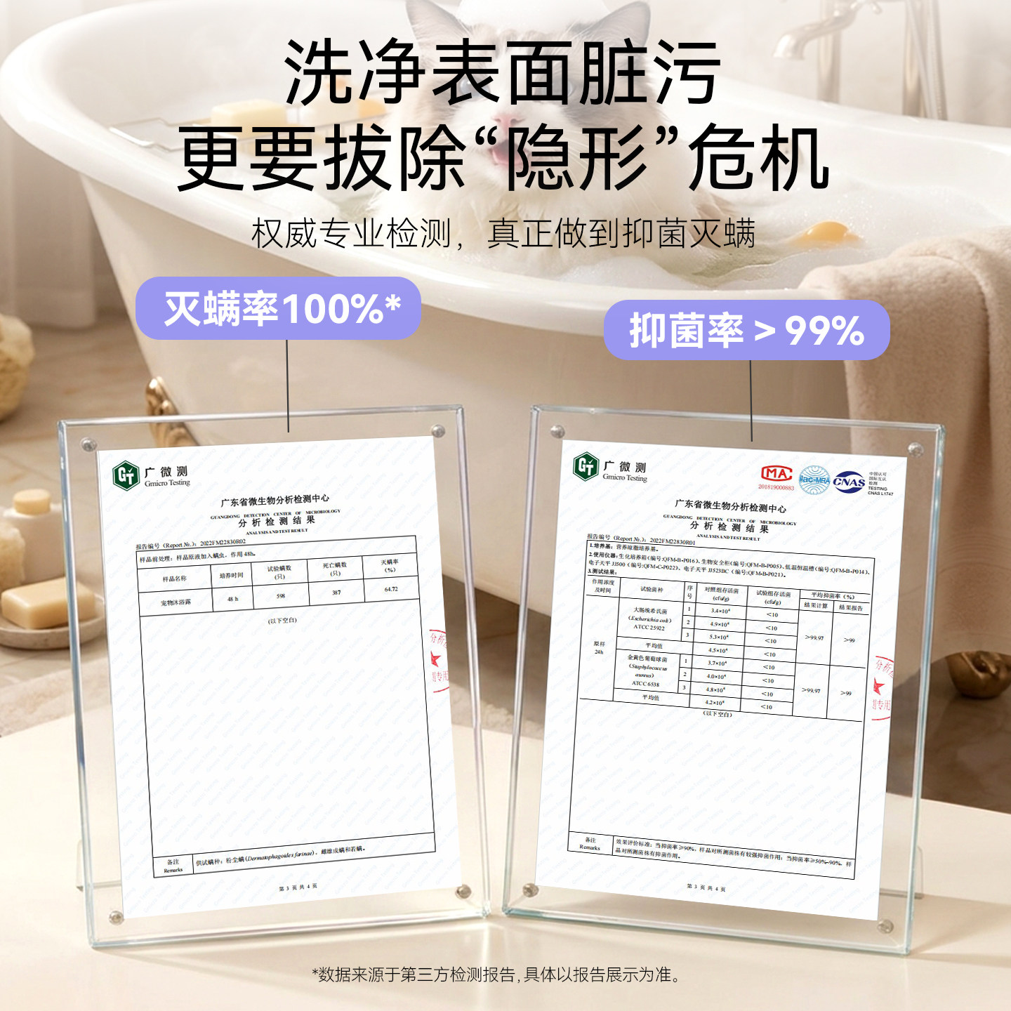 神经猫猫咪沐浴露宠物猫咪洗澡专用沐浴露杀菌除螨专猫专用沐浴液