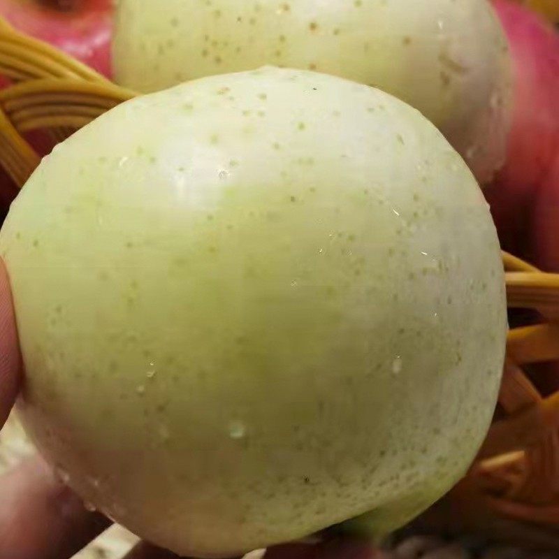 正宗大连王林苹果现摘脆甜新鲜应季青苹果青森酸绿水果5斤包邮,淘宝优惠券,粉丝福利购,淘宝优惠卷