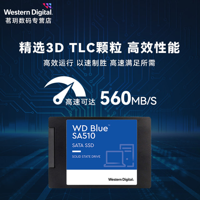 WD Western Digital universal solid state drive 250G-4T optional