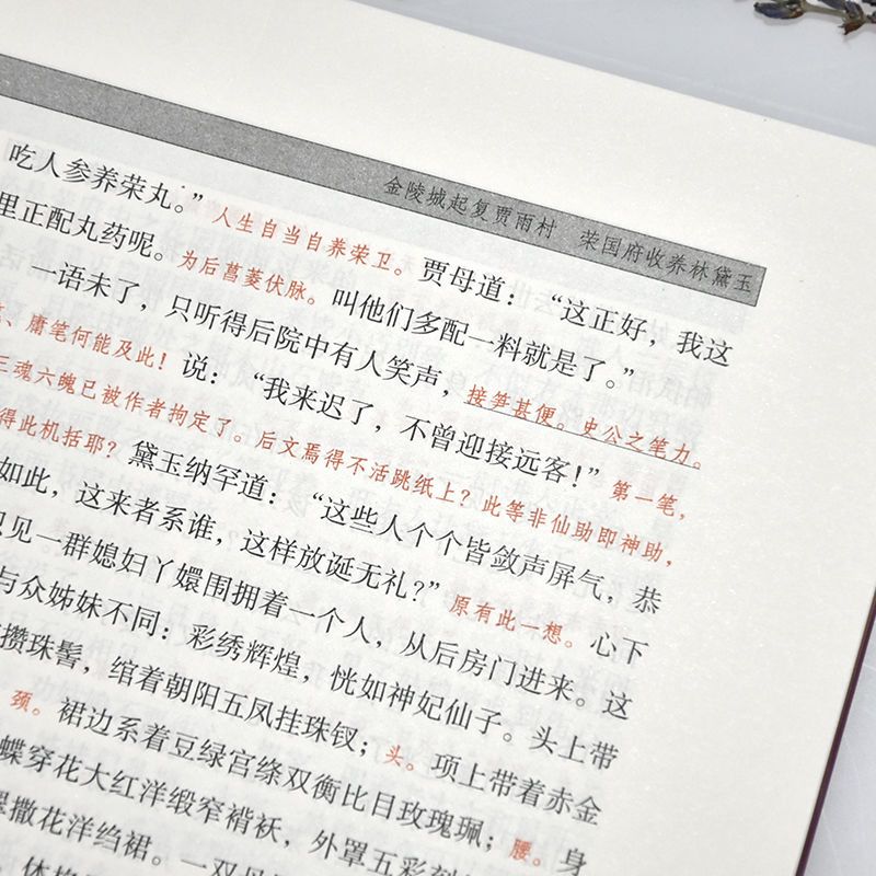 红楼梦脂砚斋批评本上下2册 八十回 甲戌本脂砚斋批本四大名著脂砚斋评石头记 岳麓书社 - 图1