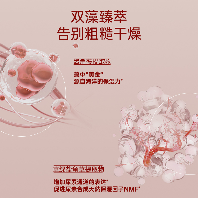 科洱美时光肽紧致霜补胶原蛋白保湿紧致抗皱面霜滋润不油腻护肤品