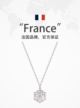 雪花项链女轻奢小众百搭爆款颈链