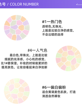 日本Elegance定妆蜜粉饼所有肤质