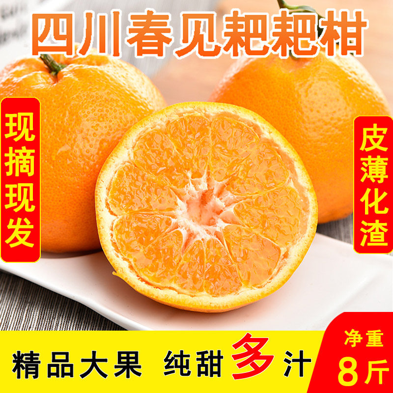 【鲜薇】四川春见耙耙柑新鲜应季水果当季橘子桔子孕妇水果酸甜,淘宝优惠券,粉丝福利购,淘宝优惠卷