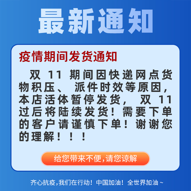 顺丰日本红白大正三色锦鲤活体观赏鱼冷水鱼淡水鱼室外冷水锦鲤鱼 - 图3